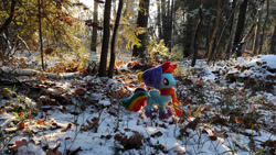 Size: 1192x670 | Tagged: safe, imported from derpibooru, rainbow dash, pegasus, clothes, forest, mgrdash, photo, snow, winter, winter outfit