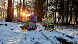 Size: 1192x670 | Tagged: safe, imported from derpibooru, fluttershy, rainbow dash, bat pony, pegasus, bat ponified, clothes, dress, female, flutterbat, flutterdash, forest, lesbian, mgrdash, photo, race swap, shipping, sunset, winter, winter outfit