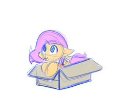 Size: 1079x829 | Tagged: safe, artist:zutcha, imported from derpibooru, fluttershy, pegasus, pony, :3, box, cardboard box, colored sketch, female, pony in a box, simple background, solo, white background