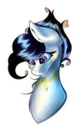 Size: 1471x2266 | Tagged: safe, artist:aquasky987, imported from derpibooru, oc, oc only, earth pony, pony, bust, earth pony oc, female, mare, simple background, solo, transparent background