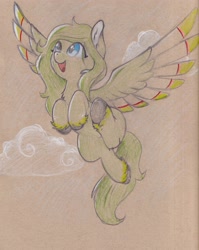 Size: 2469x3108 | Tagged: safe, artist:foxtrot3, imported from derpibooru, oc, oc only, oc:lief, pegasus, pony, chest fluff, cloud, cute, ear fluff, flying, hoof fluff, ocbetes, open mouth, smiling, solo, spread wings, underhoof, unshorn fetlocks, wings