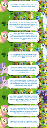 Size: 2048x5484 | Tagged: safe, idw, imported from derpibooru, fluttershy, zecora, human, pegasus, pony, unicorn, clothes, costume, dialogue, dialogue box, disguise, dyre, english, event, female, g1, g4, gameloft, grackle, idw showified, mare, my little pony: magic princess, north star (g1), official, speech bubble, spread wings, text, violet shiver, wings