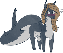 Size: 1554x1314 | Tagged: safe, artist:stray prey, imported from derpibooru, oc, oc only, oc:flare, original species, pony, shark, shark pony, blushing, simple background, solo, transparent background
