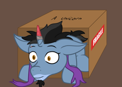 Size: 1481x1052 | Tagged: safe, artist:maître cervidé, imported from derpibooru, oc, oc:sanity, pony, unicorn, box, commission, pony in a box, simple background, solo, ych result, your character here