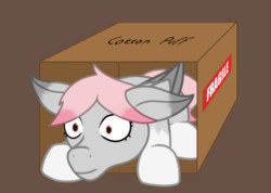 Size: 1481x1052 | Tagged: safe, artist:maître cervidé, imported from derpibooru, pegasus, pony, animated, box, commission, pony in a box, simple background, solo, ych result, your character here