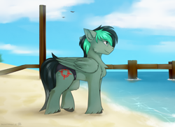 Size: 3400x2470 | Tagged: safe, artist:snowstormbat, imported from derpibooru, oc, oc only, oc:target strike, pegasus, pony, beach, clothes, male, ocean, pier, sand, solo, speedo, stallion, swimsuit, unshorn fetlocks, water