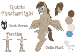Size: 5564x3844 | Tagged: safe, artist:emc-blingds, imported from derpibooru, oc, oc only, anthro, pegasus, unguligrade anthro, breasts, bust, featureless breasts, pegasus oc, reference sheet, simple background, smiling, story included, transparent background, wings