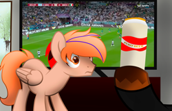 Size: 3952x2560 | Tagged: safe, artist:fededash, imported from derpibooru, oc, oc only, oc:fededash, oc:paul, pegasus, alcohol, argentina, beer, football, glass, house, male, mexico, pegasus oc, sports, television, tree, window, wings, world cup, world cup 2022