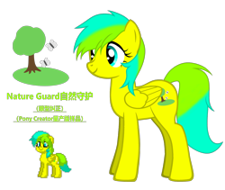 Size: 3539x2988 | Tagged: safe, artist:equestria secret guard, imported from derpibooru, oc, oc only, oc:nature guard, pegasus, pony, pony creator, chinese, female, mare, pegasus oc, show accurate, simple background, solo, transparent background, vector