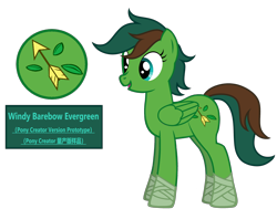 Size: 4720x3740 | Tagged: safe, artist:equestria secret guard, imported from derpibooru, oc, oc only, oc:windy barebow evergreen, pegasus, pony, pony creator, chinese, female, mare, pegasus oc, show accurate, simple background, solo, transparent background, vector