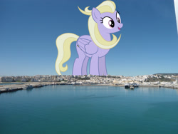 Size: 2048x1536 | Tagged: safe, artist:bluemeganium, artist:jaredking779, imported from derpibooru, sweet buzz, pegasus, pony, background pony, female, giant pegasus, giant pony, giantess, highrise ponies, irl, las pegasus resident, macro, mare, mega giant, morocco, photo, ponies in real life, tangier