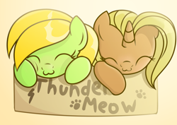 Size: 2970x2100 | Tagged: safe, artist:candy meow, imported from derpibooru, oc, oc only, oc:aurora lulamoon, oc:candy meow, pegasus, pony, unicorn, :3, ^^, behaving like a cat, box, cute, duo, eyes closed, female, filly, foal, gradient background, high res, horn, if i fits i sits, lightning, mare, paw prints, pegasus oc, pony in a box, pony oc, simple background, thundermeow, unicorn oc