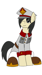 Size: 1799x3198 | Tagged: safe, artist:efpony, imported from derpibooru, oc, oc only, oc:efpony, earth pony, pony, derpibooru community collaboration, 2023 community collab, simple background, sitting, solo, transparent background