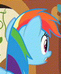 Size: 207x250 | Tagged: safe, imported from twibooru, rainbow dash, pegasus, pony, magical mystery cure, season 3, animated, gif, image, tongue out, wat