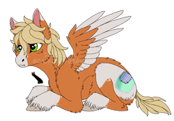 Size: 1306x908 | Tagged: safe, artist:cackling-beast, imported from derpibooru, oc, oc only, pegasus, pony, :t, blonde mane, colored wings, fetlock tuft, green eyes, lying down, male, orange fur, scar, short tail, simple background, spread wings, stallion, tail, transparent background, two toned coat, two toned wings, unshorn fetlocks, watermark, white fur, wings