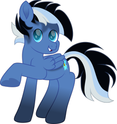 Size: 4371x4625 | Tagged: safe, artist:lincolnbrewsterfan, derpibooru exclusive, imported from derpibooru, oc, oc only, unnamed oc, pegasus, pony, derpibooru community collaboration, .svg available, 2023 community collab, blue eyes, colored pupils, cute smile, folded wings, happy, hoof heart, inkscape, looking at you, male, movie accurate, multicolored mane, multicolored tail, pegasus oc, poison joke, raised hoof, simple background, smiling, smiling at you, solo, stallion, stallion oc, striped mane, striped tail, svg, tail, teeth, transparent background, underhoof, vector, wings