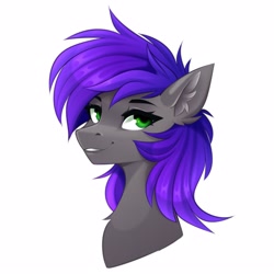 Size: 2560x2560 | Tagged: safe, artist:buvanybu, imported from derpibooru, oc, oc only, pony, bust, ear fluff, portrait, simple background, solo, white background