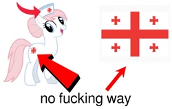 Size: 1280x807 | Tagged: safe, imported from derpibooru, nurse redheart, earth pony, pony, arrow, female, flag, georgia (country), georgian flag, mare, meme, simple background, solo, theory, vulgar, white background