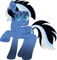 Size: 4371x4625 | Tagged: safe, artist:lincolnbrewsterfan, derpibooru exclusive, imported from derpibooru, oc, oc only, unnamed oc, pegasus, pony, derpibooru community collaboration, .svg available, 2023 community collab, blue eyes, cute smile, folded wings, happy, hoof heart, inkscape, looking at you, male, movie accurate, multicolored mane, multicolored tail, no base, pegasus oc, poison joke, raised hoof, simple background, smiley face, smiling, smiling at you, stallion, stallion oc, striped mane, striped tail, svg, tail, teeth, transparent background, underhoof, vector, wings