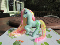 Size: 1032x774 | Tagged: safe, imported from derpibooru, photographer:normaleeinsane, ivy, earth pony, pony, female, g2, house, irl, mare, merchandise, photo, porch deck, repaired, table, toy, tree, yarn
