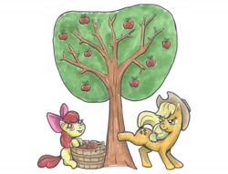 Size: 1280x979 | Tagged: safe, artist:zladdsmith, imported from derpibooru, apple bloom, applejack, pony, apple, apple tree, applebucking, bow, cowboy hat, duo, female, filly, foal, food, hair bow, hat, looking back, mare, marker drawing, siblings, simple background, sisters, tongue out, traditional art, tree, white background