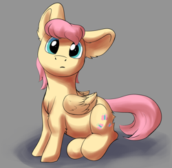 Size: 2100x2050 | Tagged: safe, artist:shaliwolf, imported from derpibooru, fluttershy, pegasus, pony, alternate hairstyle, ear fluff, elbow fluff, female, folded wings, gray background, head tilt, high res, looking at you, mare, short mane, simple background, sitting, solo, turned head, wings