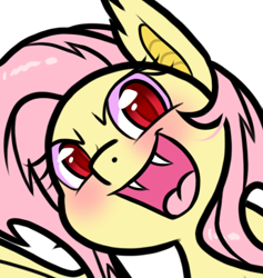 Size: 345x364 | Tagged: safe, artist:paperbagpony, imported from derpibooru, fluttershy, bat pony, pony, bat ponified, blushing, bust, fangs, flutterbat, open mouth, open smile, portrait, race swap, simple background, smiling, white background