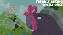 Size: 1280x720 | Tagged: safe, edit, edited screencap, editor:quoterific, imported from derpibooru, screencap, fluttershy, mr. tortoisnap, spike, dragon, pegasus, pony, tortoise, between dark and dawn, apple, apple tree, assertive fluttershy, female, frown, giant tortoise, male, mare, open mouth, ribbon, stern, tied, tree, winged spike, wings, wrapped up