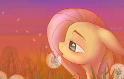Size: 1024x655 | Tagged: safe, artist:violet-era, imported from derpibooru, fluttershy, 2016, bust, comparison, dandelion, draw this again, floppy ears, photomanipulation, portrait, profile, redraw, sunset