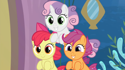 Size: 1920x1080 | Tagged: safe, imported from derpibooru, screencap, apple bloom, scootaloo, sweetie belle, seapony (g4), season 8, surf and/or turf, spoiler:s08, 1080p, adorabloom, cute, cutealoo, cutie mark crusaders, cutie mark cuties, diasweetes, female, happy, implied twilight sparkle, looking at you, reaction image, sea-mcs, seaponified, seapony apple bloom, seapony scootaloo, seapony sweetie belle, smiling, species swap, trio