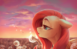 Size: 1466x937 | Tagged: safe, artist:jewellier, imported from derpibooru, fluttershy, pegasus, pony, bust, cloud, comparison, dandelion, draw this again, floppy ears, flower field, lidded eyes, peaceful, portrait, profile, redraw, solo, sunset