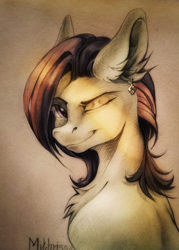 Size: 3254x4547 | Tagged: safe, artist:mithriss, imported from derpibooru, oc, oc only, oc:#, earth pony, pony, ear piercing, earring, female, hairstyle, jewelry, looking at you, mare, piercing, simple background, smiling, solo, sun, traditional art