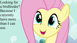 Size: 1280x720 | Tagged: safe, edit, edited screencap, imported from derpibooru, screencap, fluttershy, it ain't easy being breezies, bronybait, cute, shyabetes, speech, talking, text