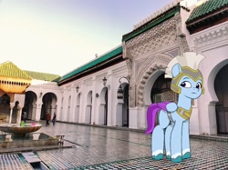 Size: 834x625 | Tagged: safe, artist:frownfactory, edit, imported from derpibooru, vector edit, pegasus, pony, female, fez (morocco), g5, guardsmare, irl, mare, morocco, my little pony: tell your tale, pegasus royal guard, photo, ponies in real life, royal guard, solo focus, vector, zoom zephyrwing