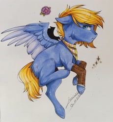 Size: 2728x2970 | Tagged: safe, artist:lunciakkk, imported from derpibooru, oc, oc only, pegasus, pony, clothes, commission, scarf, solo, traditional art