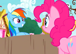 Size: 840x594 | Tagged: safe, imported from derpibooru, screencap, pinkie pie, rainbow dash, earth pony, pegasus, pony, season 7, secrets and pies, cropped, cute, dashabetes, diapinkes, duo, female, looking at each other, looking at someone, mare, smiling