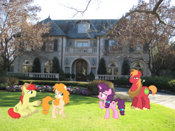 Size: 1600x1200 | Tagged: safe, artist:cloudyglow, artist:estories, artist:phucknuckl, imported from derpibooru, big macintosh, bright mac, pear butter, sugar belle, earth pony, pony, unicorn, cowboy hat, female, hat, highland park, irl, male, mare, photo, ponies in real life, stallion, stetson, story included, texas