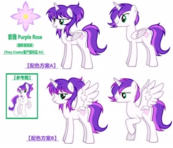 Size: 2048x1757 | Tagged: safe, artist:equestria secret guard, imported from derpibooru, oc, oc only, oc:purple rose, alicorn, pony, pony creator, alicorn oc, chinese, female, horn, male, mare, simple background, solo, stallion, white background, wings