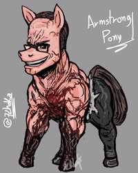 Size: 960x1200 | Tagged: safe, artist:72hoka, imported from derpibooru, earth pony, pony, glasses, male, metal gear, metal gear rising, nanomachines, ponified, senator armstrong, smiling, stallion