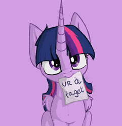 Size: 1000x1039 | Tagged: safe, artist:cheshchesh, edit, imported from twibooru, twilight sparkle, alicorn, pony, faggot, female, image, looking at you, mare, mouth hold, needs more jpeg, paper, purple background, sign, simple background, solo, twilight sparkle (alicorn), ur a faget, vulgar