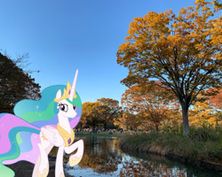 Size: 2047x1638 | Tagged: safe, artist:jaredking779, artist:parclytaxel, imported from derpibooru, princess celestia, alicorn, pony, autumn, crown, female, hoof shoes, irl, japan, jewelry, looking at you, mare, peytral, photo, ponies in real life, regalia, smiling, solo, tokyo