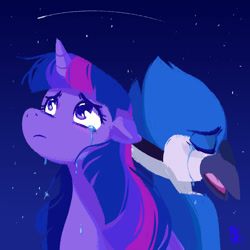 Size: 1500x1500 | Tagged: safe, artist:puccadraws, imported from derpibooru, twilight sparkle, bird, pony, unicorn, crossover, crossover shipping, crying, eyes closed, female, frown, looking up, male, meme, mordecai, mordetwi, night, night sky, regular show, shipping, shooting star, sky, straight