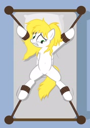 Size: 1536x2166 | Tagged: safe, artist:equestria secret guard, imported from derpibooru, oc, oc:cath, pegasus, pony, armpits, bed, belly button, bondage, featureless crotch, female, helpless, mare, messy mane, on bed, pegasus oc, rope, rope bondage, sexy, solo, spread eagle, tied to bed, tied up