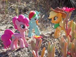 Size: 1280x960 | Tagged: safe, artist:dingopatagonico, imported from derpibooru, applejack, pinkie pie, rainbow dash, earth pony, pegasus, irl, outdoors, photo, toy