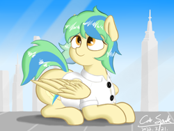 Size: 4000x3000 | Tagged: safe, artist:cdrspark, imported from derpibooru, oc, oc only, oc:hcl, pegasus, pony, clothes, female, glass, lying down, pegasus oc, prone, shirt, solo