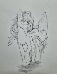 Size: 1601x2048 | Tagged: safe, artist:laymy, imported from derpibooru, rainbow dash, pegasus, pony, female, grayscale, mare, monochrome, pencil drawing, smiling, solo, traditional art