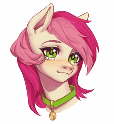 Size: 3672x3999 | Tagged: safe, artist:nozomiigg, imported from derpibooru, roseluck, earth pony, pony, bust, collar, commission, commissioner:doom9454, cute, female, looking at you, mare, pet collar, pet tag, pony pet, portrait, rosepet, simple background, solo, white background