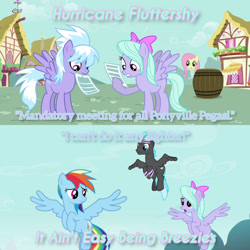 Size: 3072x3072 | Tagged: safe, edit, edited screencap, editor:itsmgh1203, imported from derpibooru, screencap, cloudchaser, flitter, fluttershy, rainbow dash, pegasus, pony, hurricane fluttershy, it ain't easy being breezies, season 2, season 4, :o, female, flying, male, mare, mouth hold, open mouth, spread wings, stallion, text, wings
