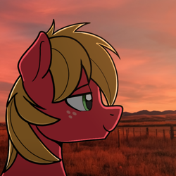 Size: 708x707 | Tagged: safe, artist:sefastpone, imported from derpibooru, big macintosh, earth pony, pony, bust, digital art, freckles, male, real life background, solo, stallion, sunset