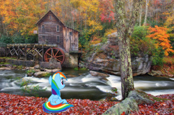 Size: 1600x1054 | Tagged: safe, artist:greenmachine987, imported from derpibooru, rainbow dash, pegasus, pony, fayette, female, irl, mare, photo, ponies in real life, river, sitting, solo, water, west virginia